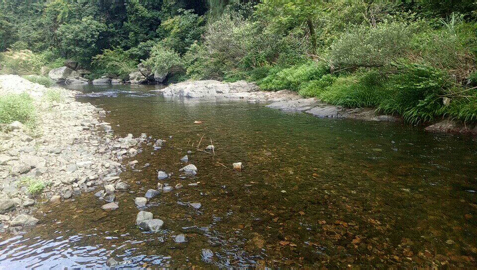 水墨汀溪風景區旅遊景點攻略圖