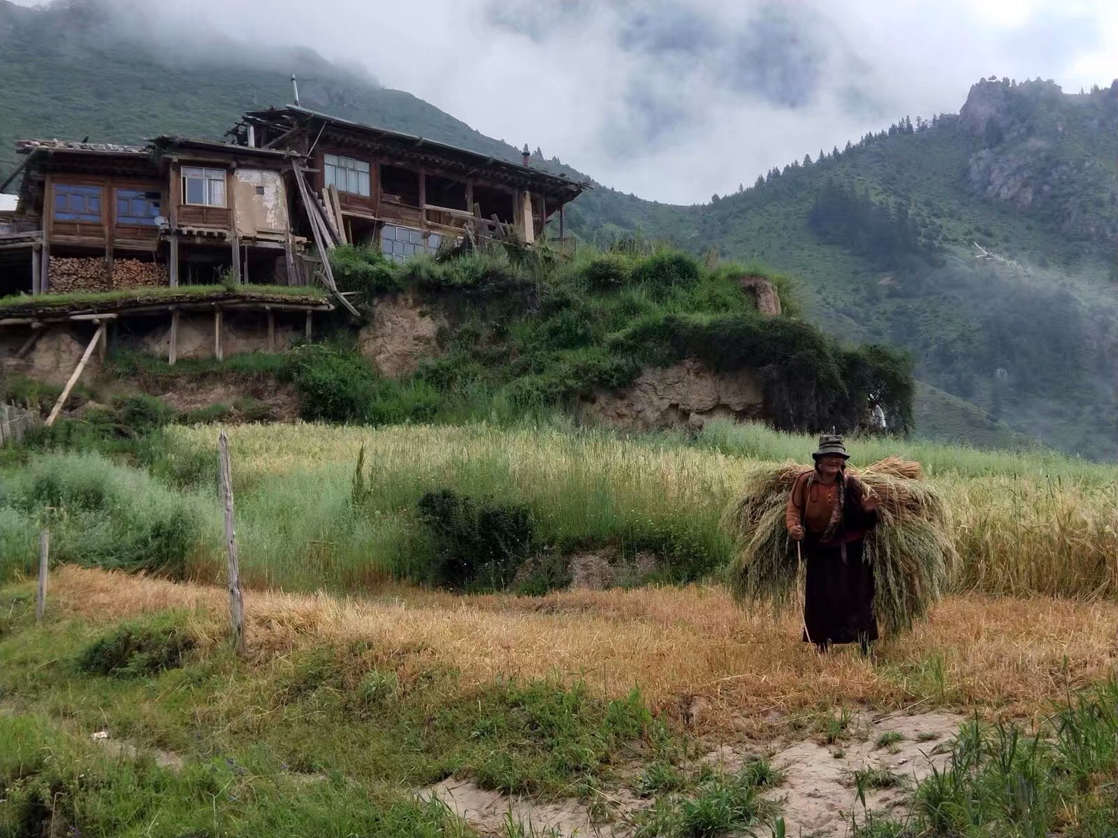 扎尕那《爸爸去哪儿》第五季拍摄地,扎尕那村寨三面秀峰环拱,围成了