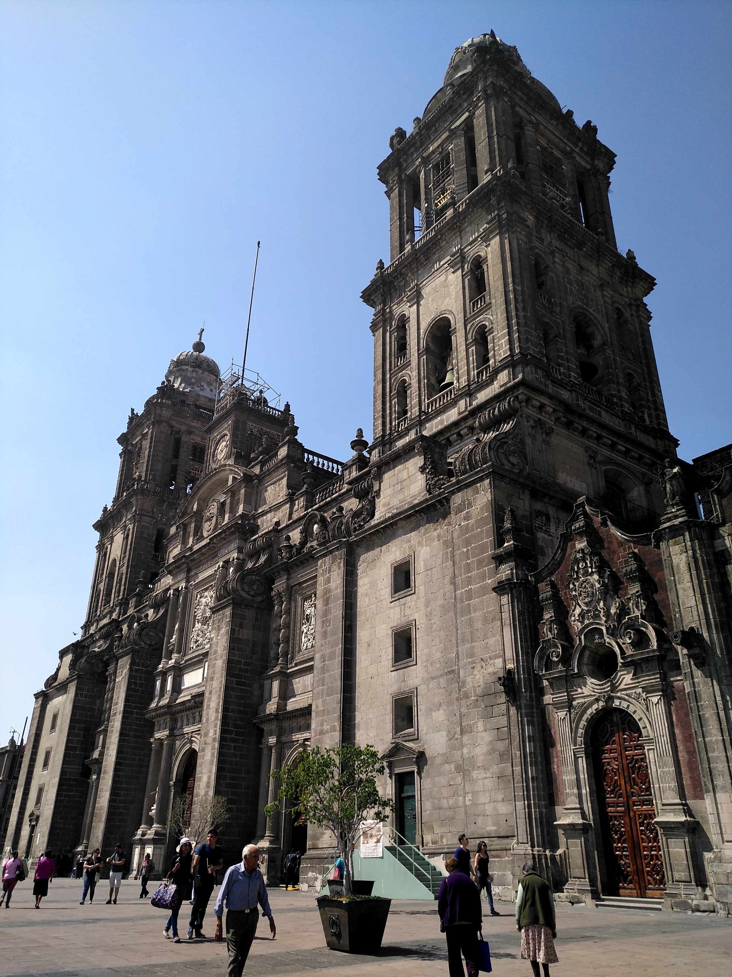 壁紙，墨西哥，神庙，教堂，仙人掌，Santo Domingo Oaxaca，城市，下载，照片