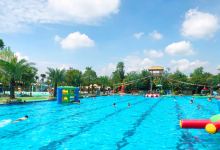 海豚湾位置 100v0w000000knc6tD9D9_D_220_150.jpg?v=20190429_18_46