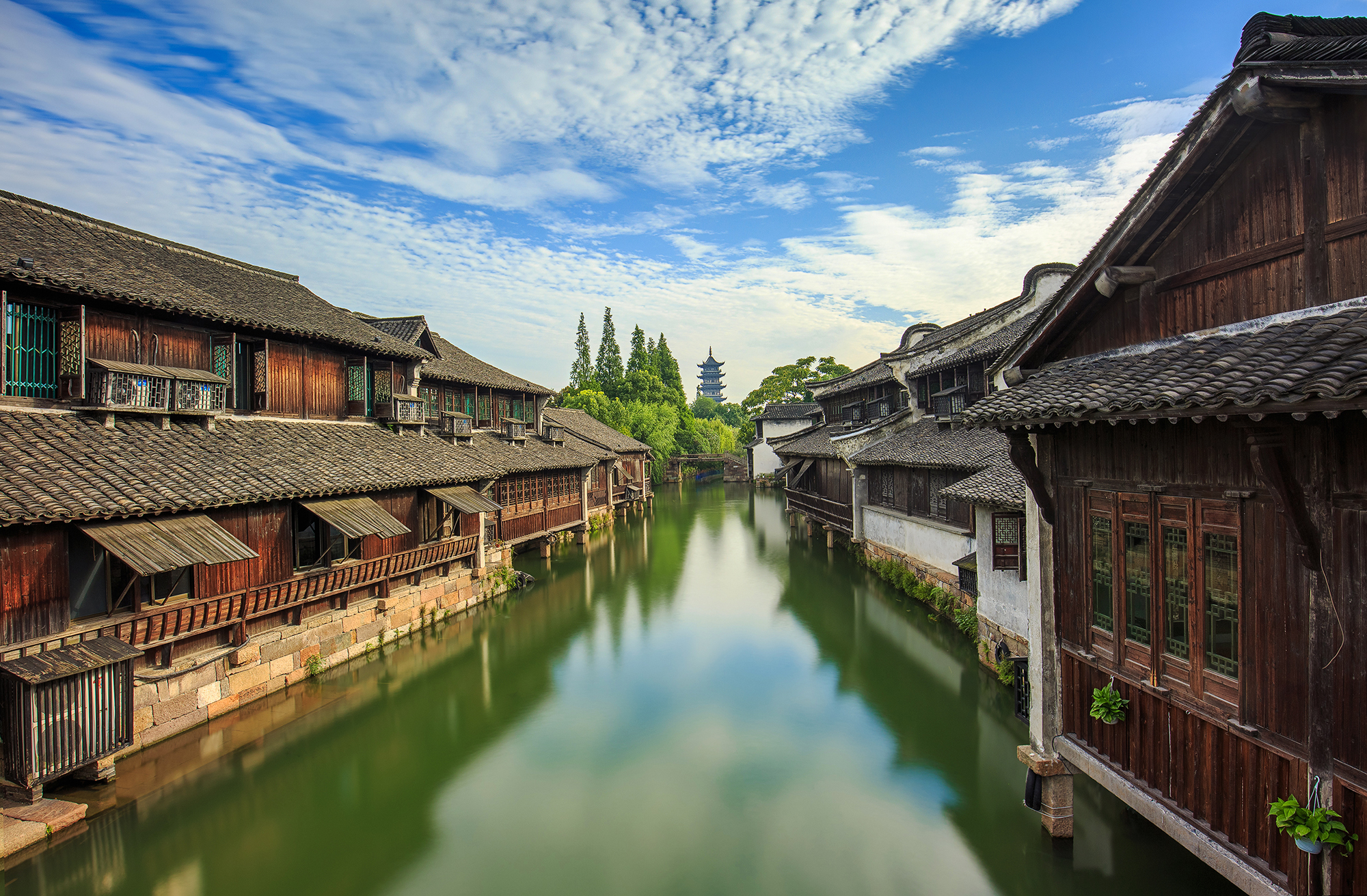 乌镇记忆 | 夏天的风我永远记得-乌镇旅游攻略-游记-去哪儿攻略