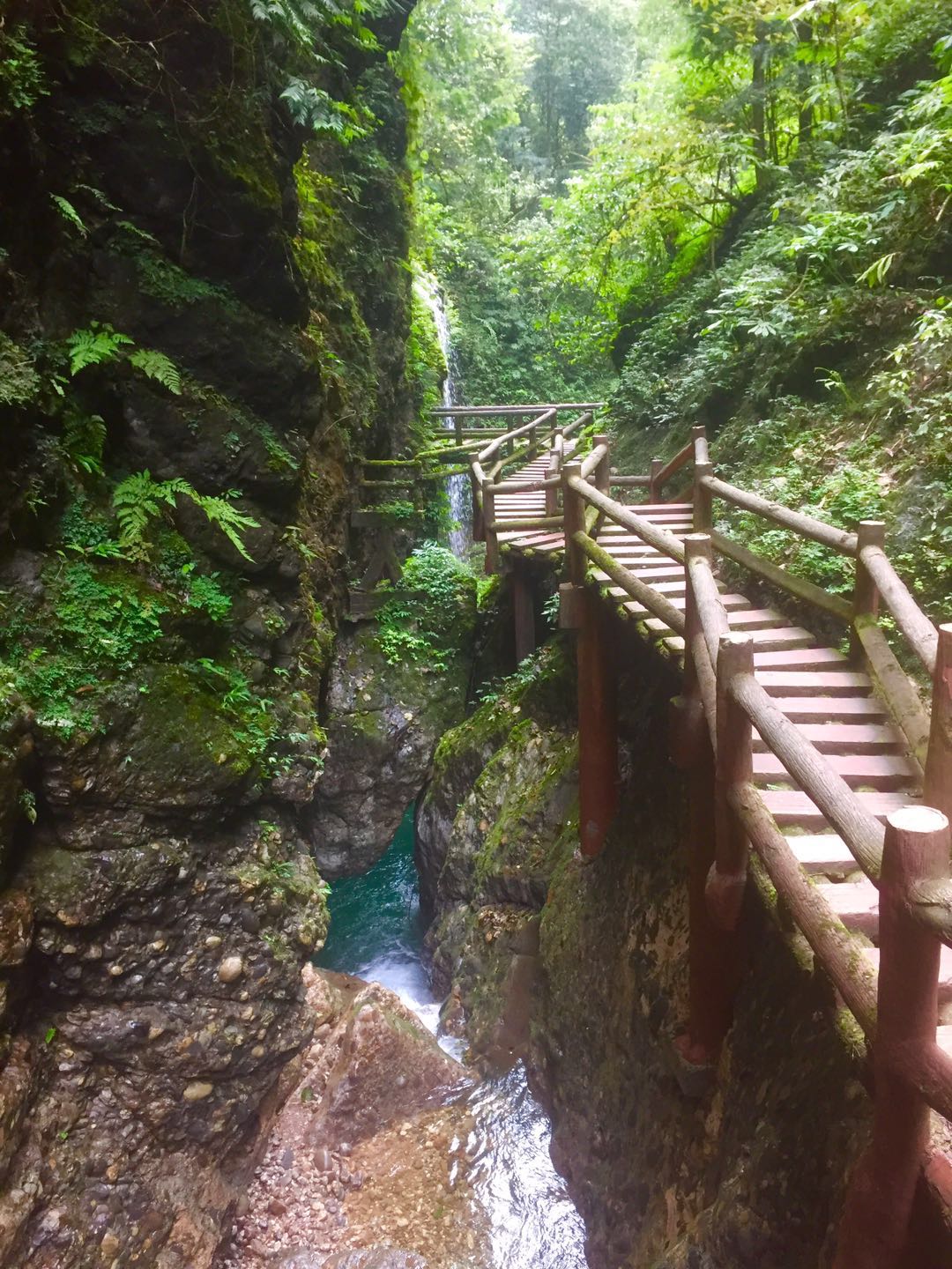 青城后山旅游景点攻略图