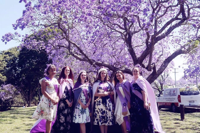 悉尼 蓝花楹季 徜徉在 紫色 花海里 悉尼游记攻略 携程攻略