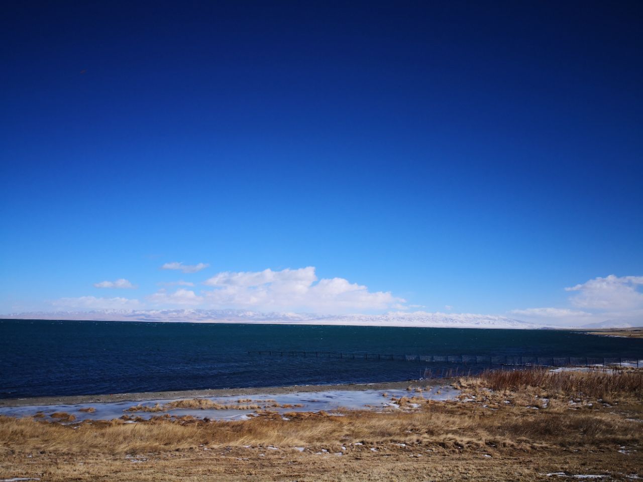 【西部旅行记---美丽的青海湖摄影图片】风光摄影_墨客君的博客_太平洋电脑网摄影部落