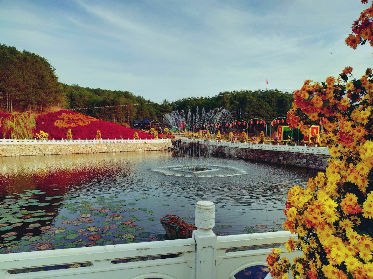 今早空中看麻城杜鹃花海|麻城|杜鹃花海|龟峰山_新浪新闻