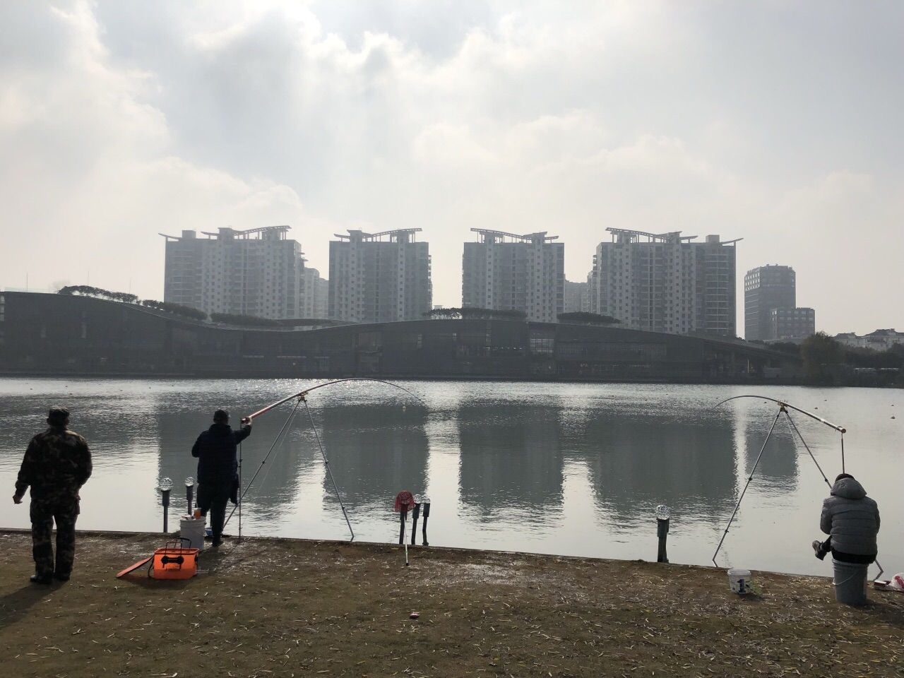 2021夏阳湖-旅游攻略-门票-地址-问答-游记点评，上海旅游旅游景点推荐-去哪儿攻略
