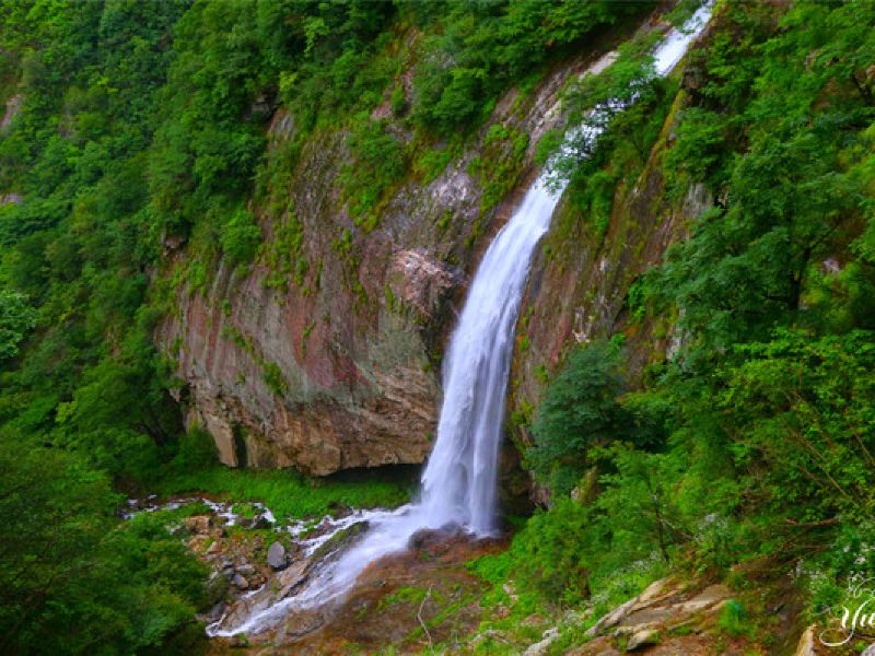 马鬃岭自然保护区