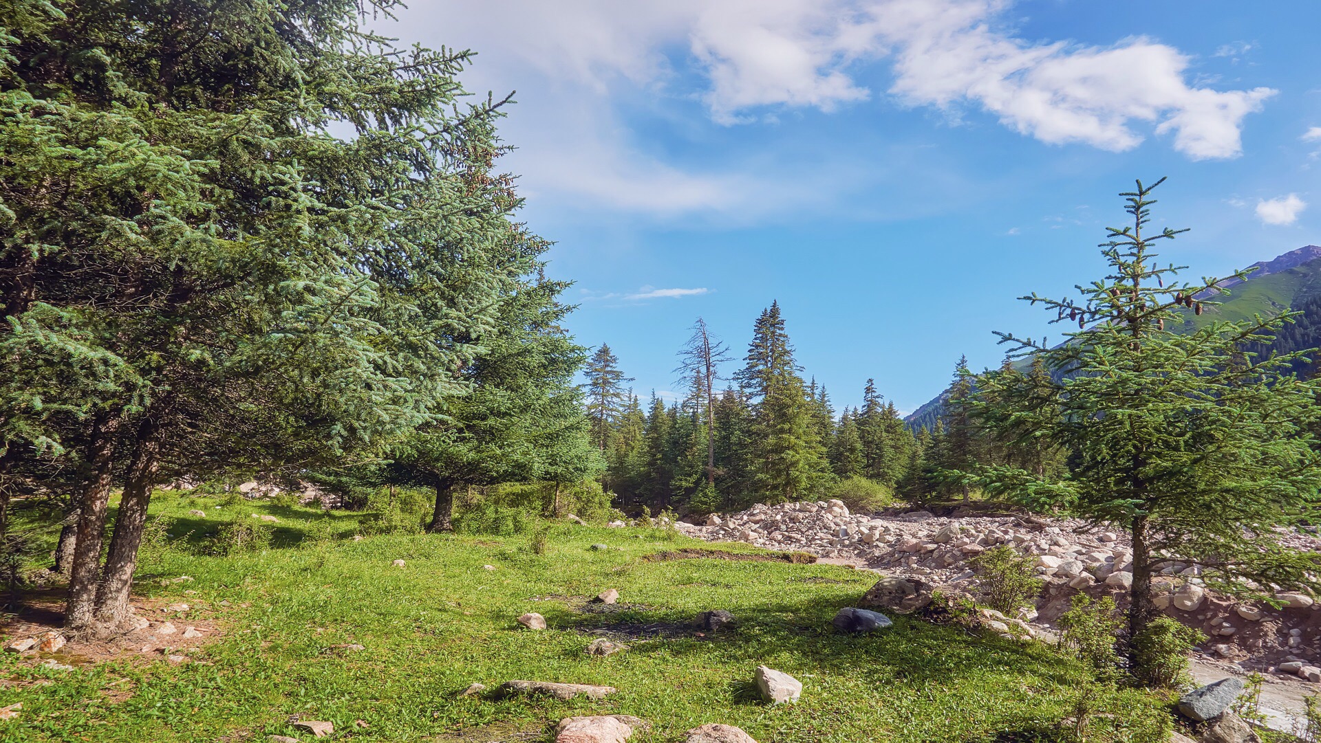 祁连冰沟林海好玩吗,祁连冰沟林海景点怎么样_点评_评价【携程攻略】