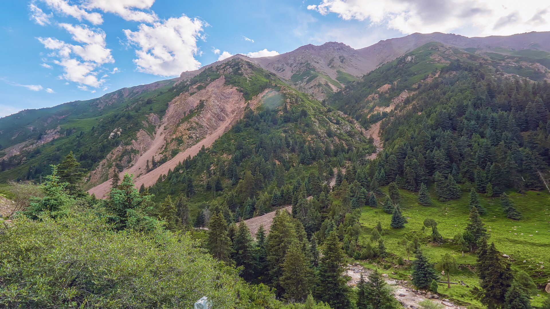 祁连冰沟林海好玩吗,祁连冰沟林海景点怎么样_点评_评价【携程攻略】