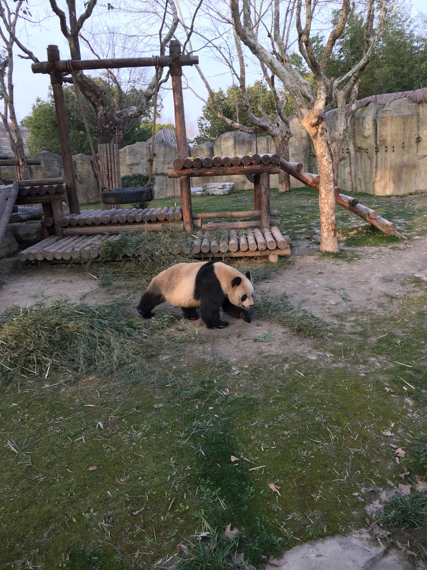 2019上海野生動物園_旅遊攻略_門票_地址_遊記點評,上海旅遊景點推薦