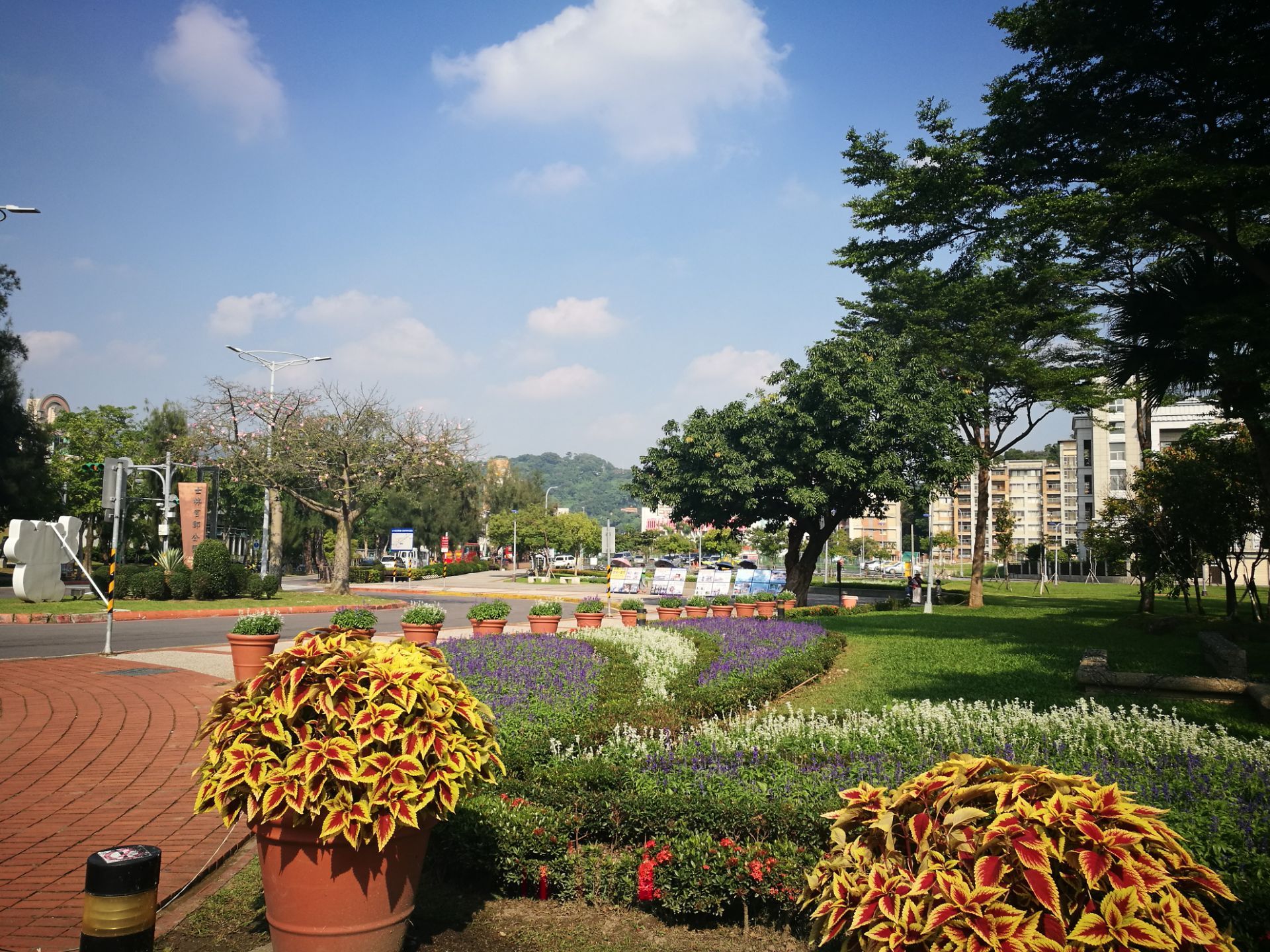 芝山岩健走步道图片