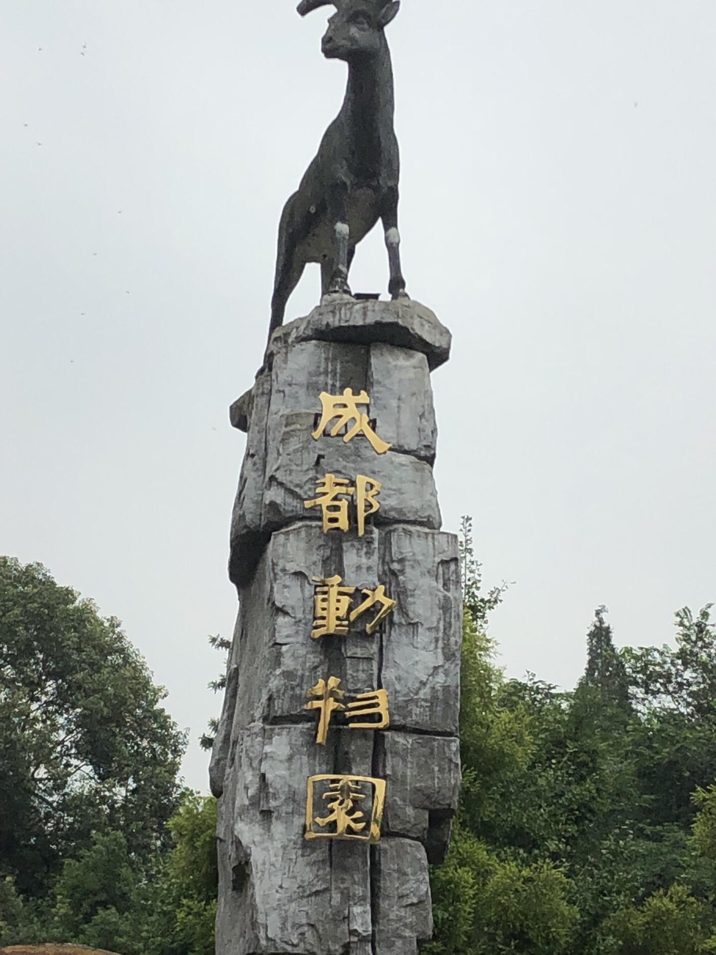 成都市动物园紧邻昭觉寺汽车中心站,与川西名寺昭觉寺隔墙相望,距城区