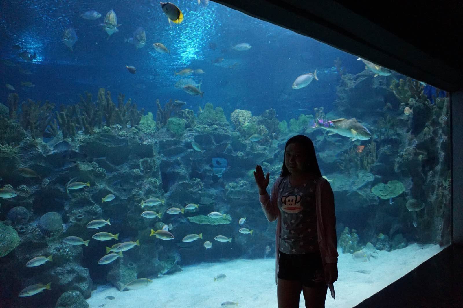 钻进亚洲最大水族馆水上星球，做一个遨游海洋的梦