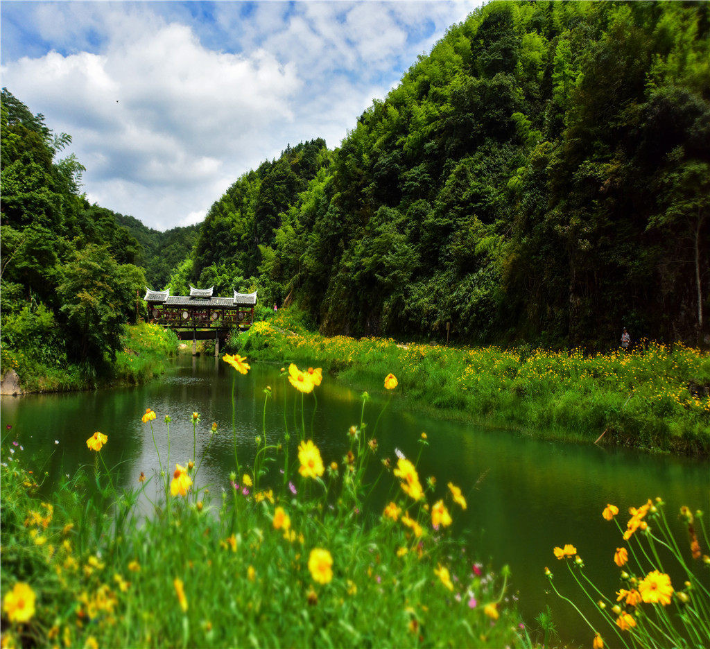 汤川大峡谷图片