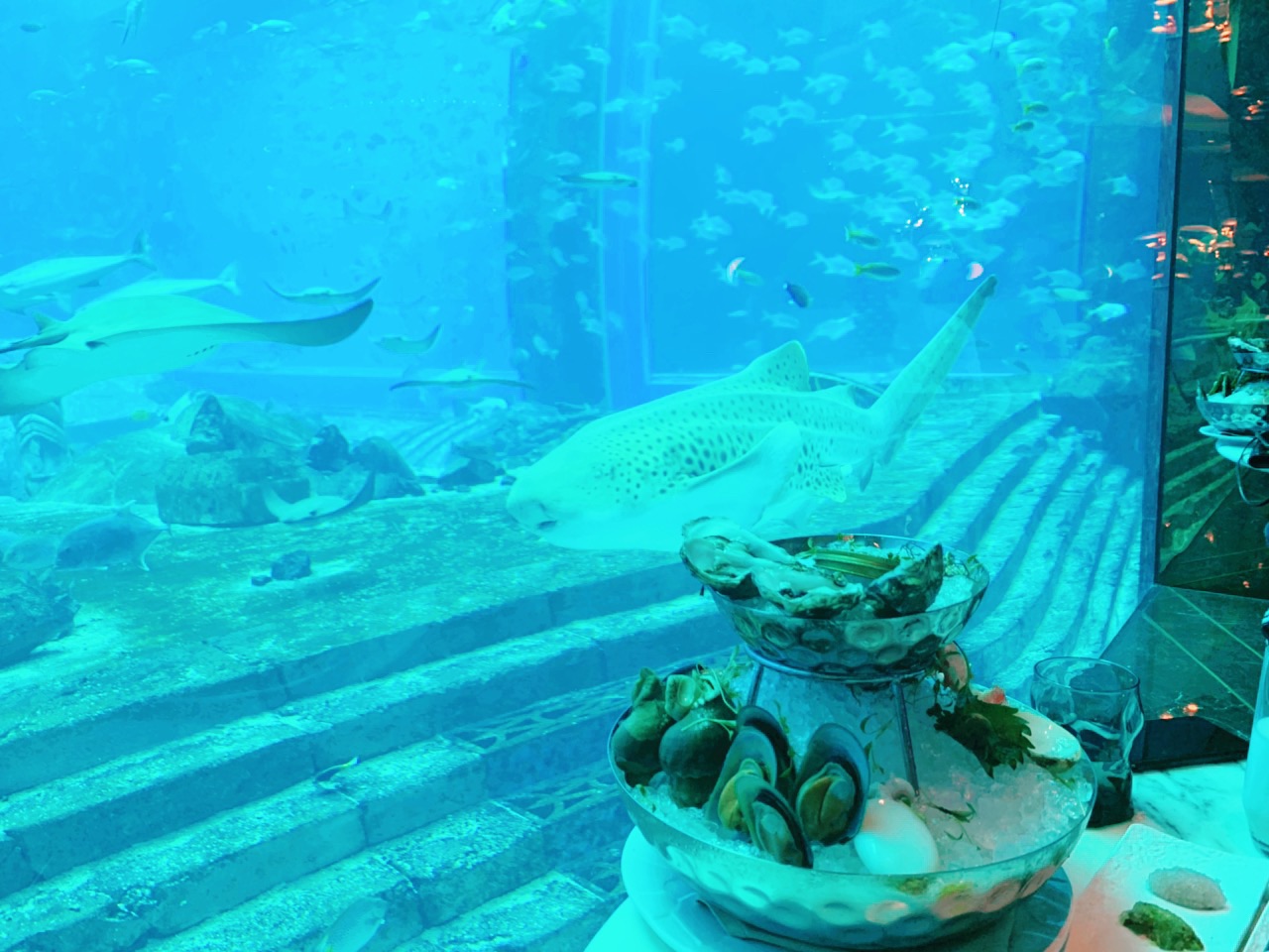 2022三亚亚特兰蒂斯酒店·ossiano underwater restaurant & bar