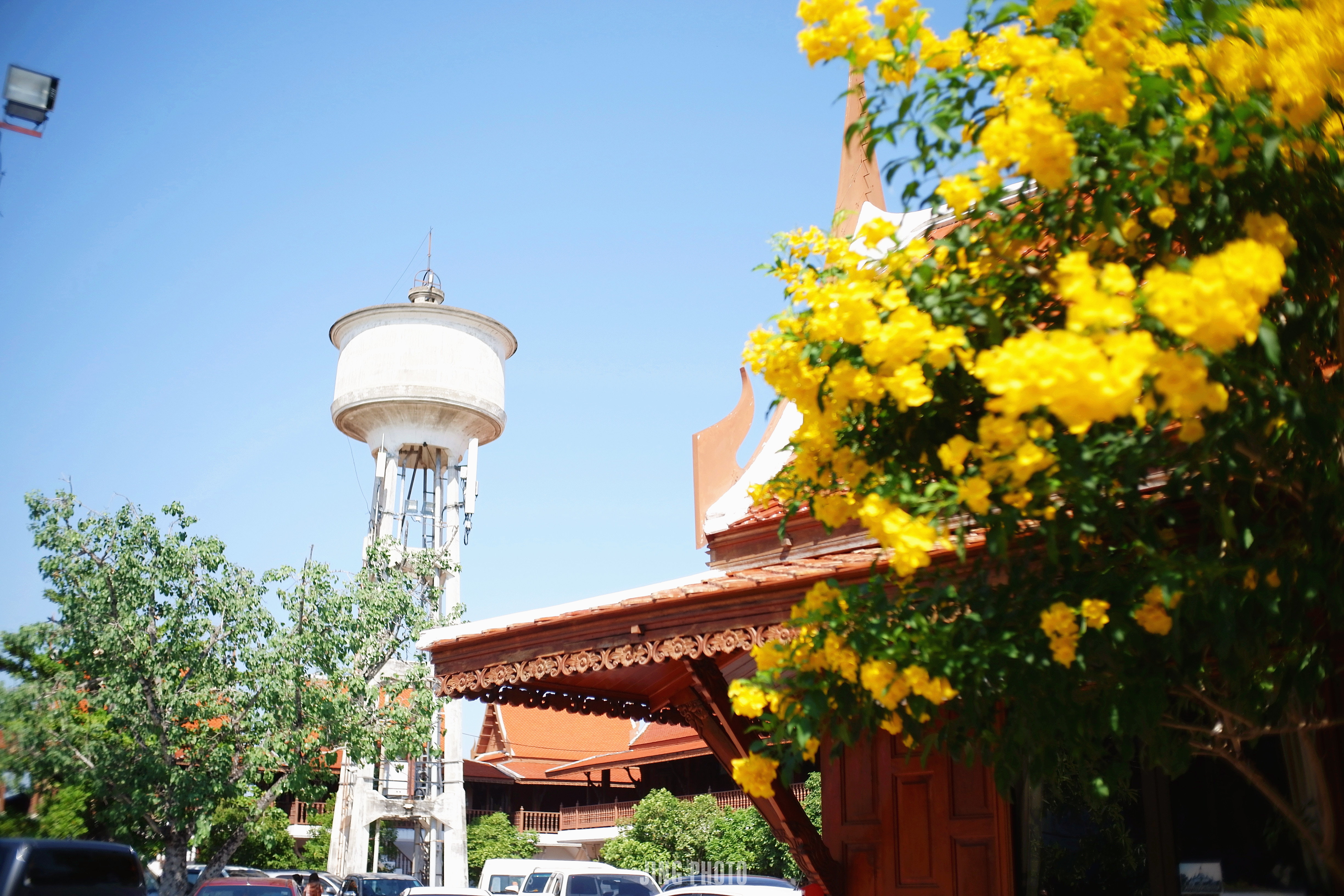 泰想过夏天】暴走曼谷,漫步大城,难忘的泰国跨