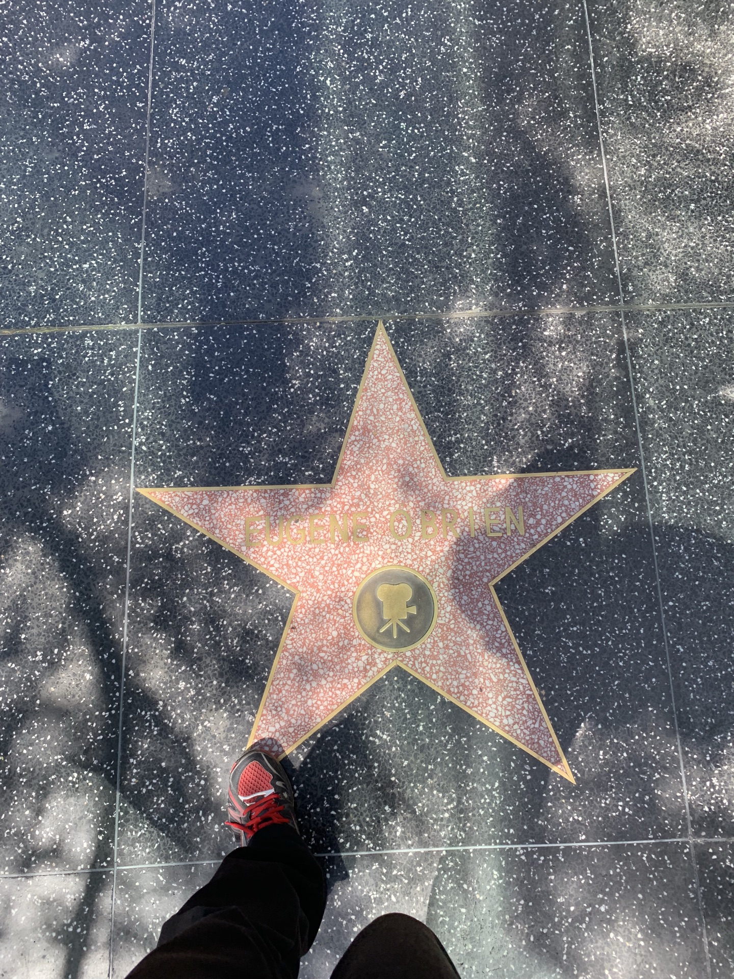 好莱坞星光大道漫步