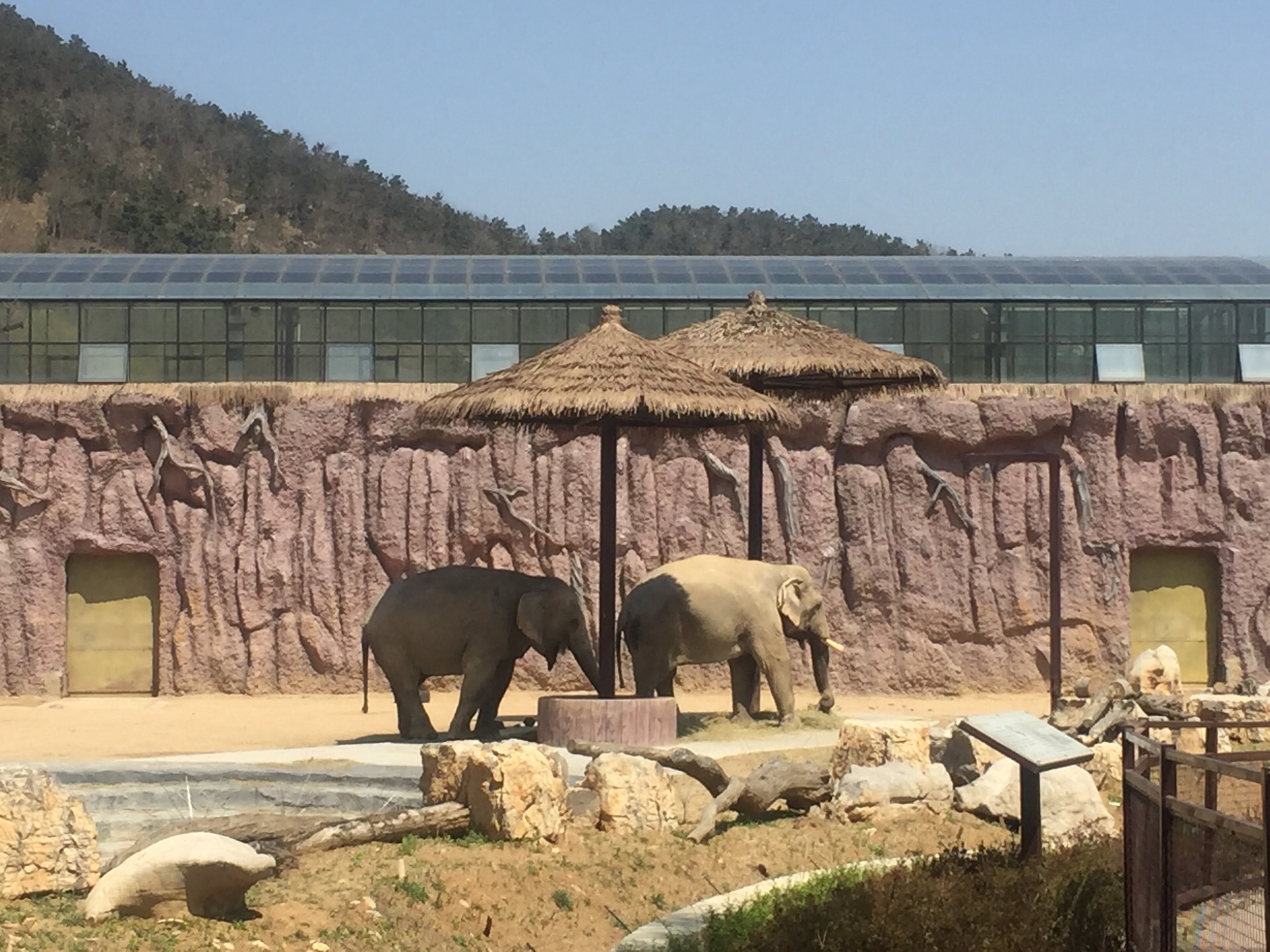 2022青岛动物园游玩攻略,周末溜达好去处 动物园的小动... 【去哪儿攻略】
