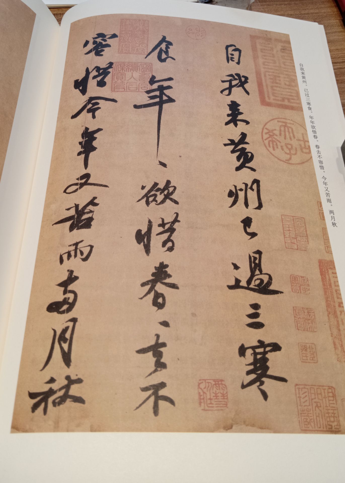 2019三苏祠游玩攻略,眉山,蜀中文化名城,山川秀. 【去哪儿攻略】