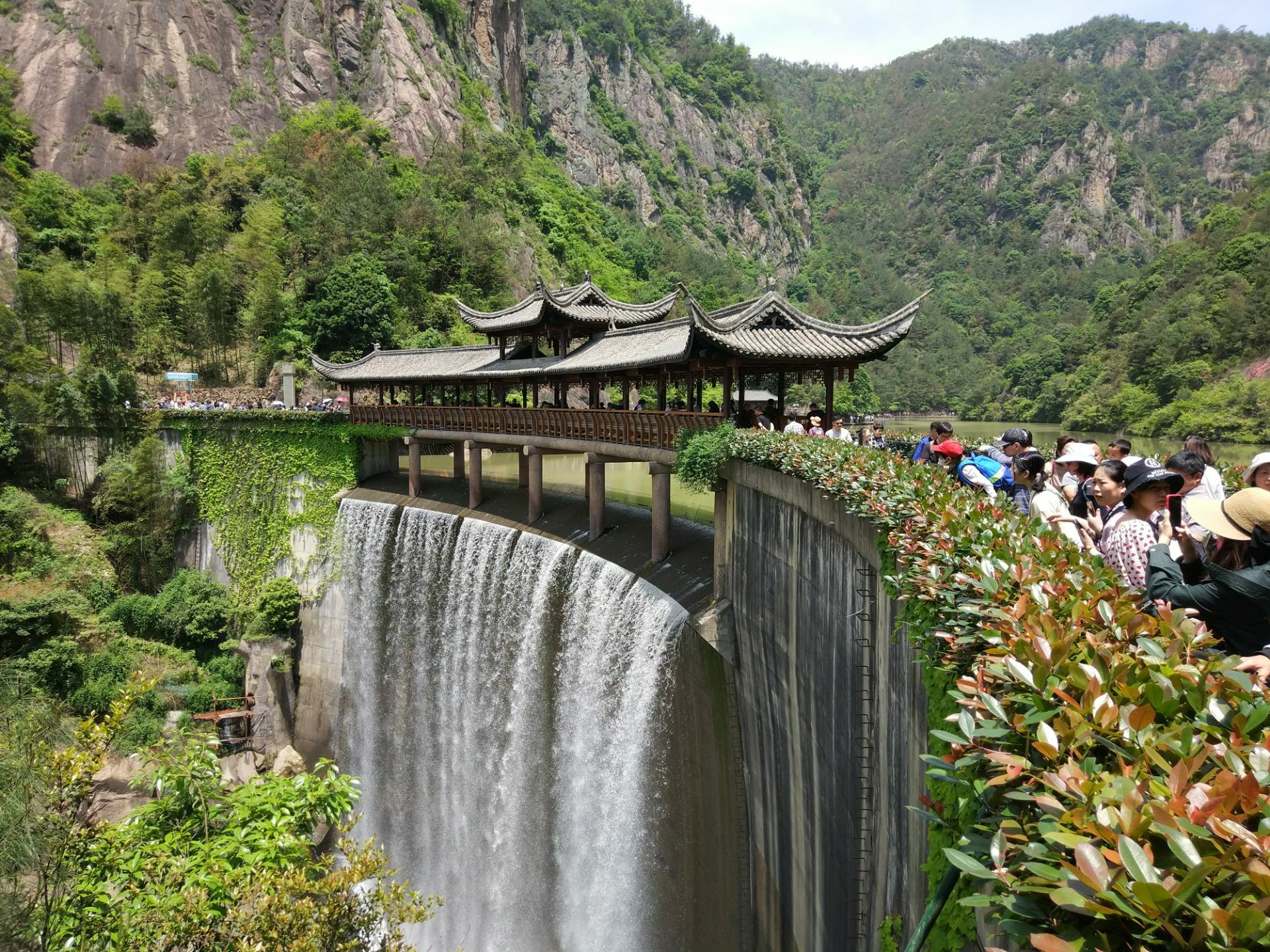 2024老君山景区-旅游攻略-门票-地址-问答-游记点评，栾川旅游旅游景点推荐-去哪儿攻略