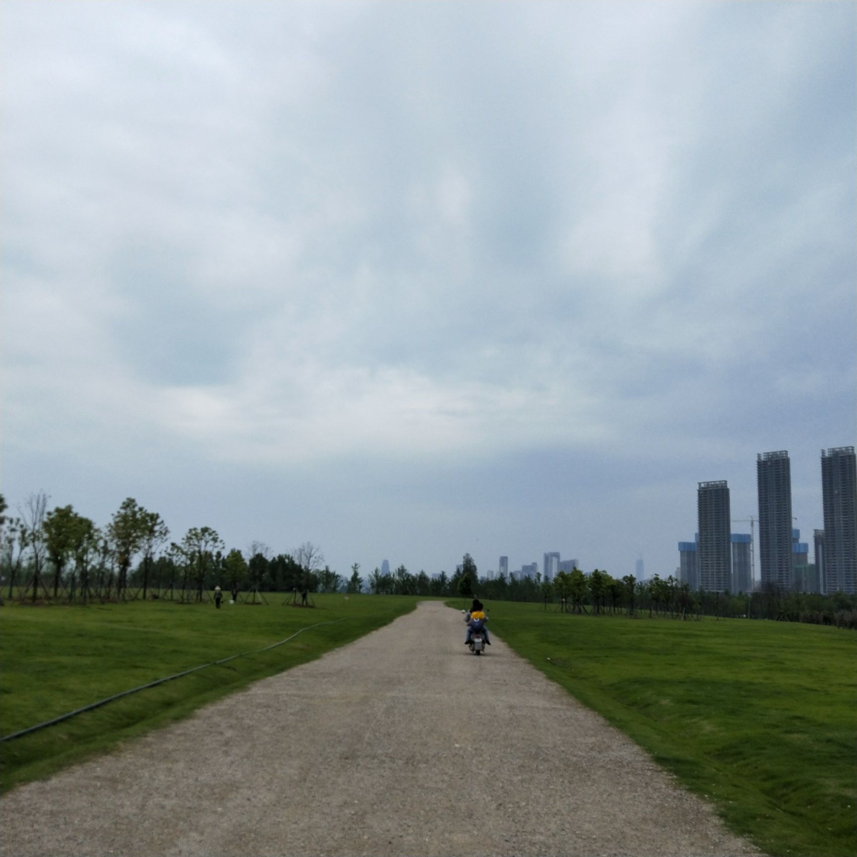 【携程攻略】武汉东湖绿道景点,围绕东湖建的很多小路，路上只能骑自行车和步行，步道上种植了很多柳…
