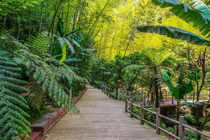 什么状叶茂成语_根深叶茂图片(4)