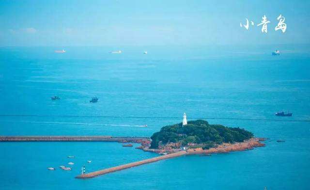 2025小青岛景区游玩攻略,赞小青岛》绿树成荫小青岛，...【去哪儿攻略】