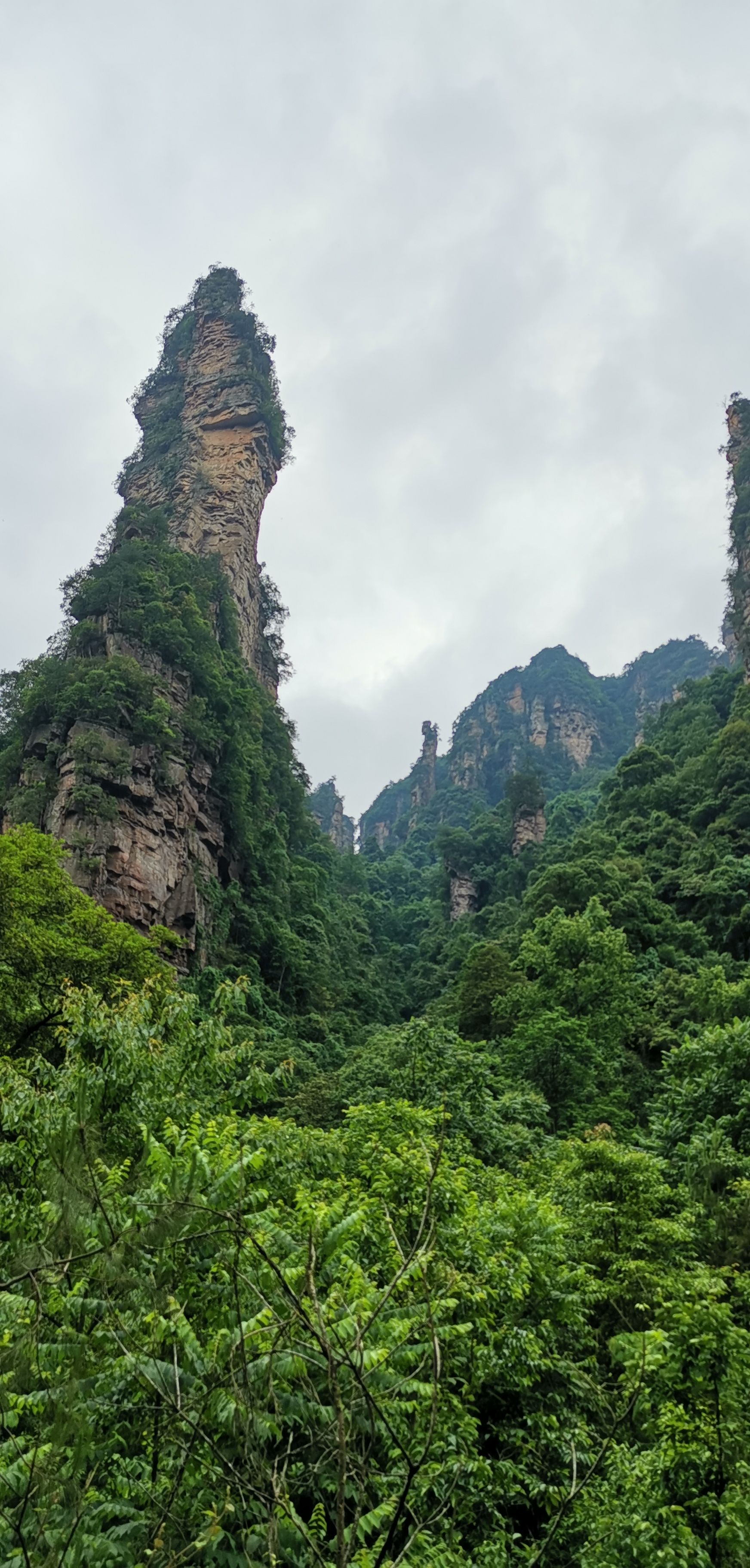 採藥老人旅遊景點攻略圖