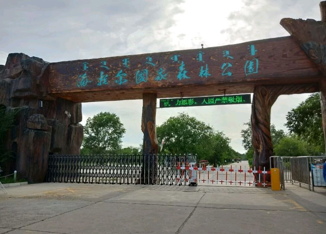 海拉尔国家森林公园