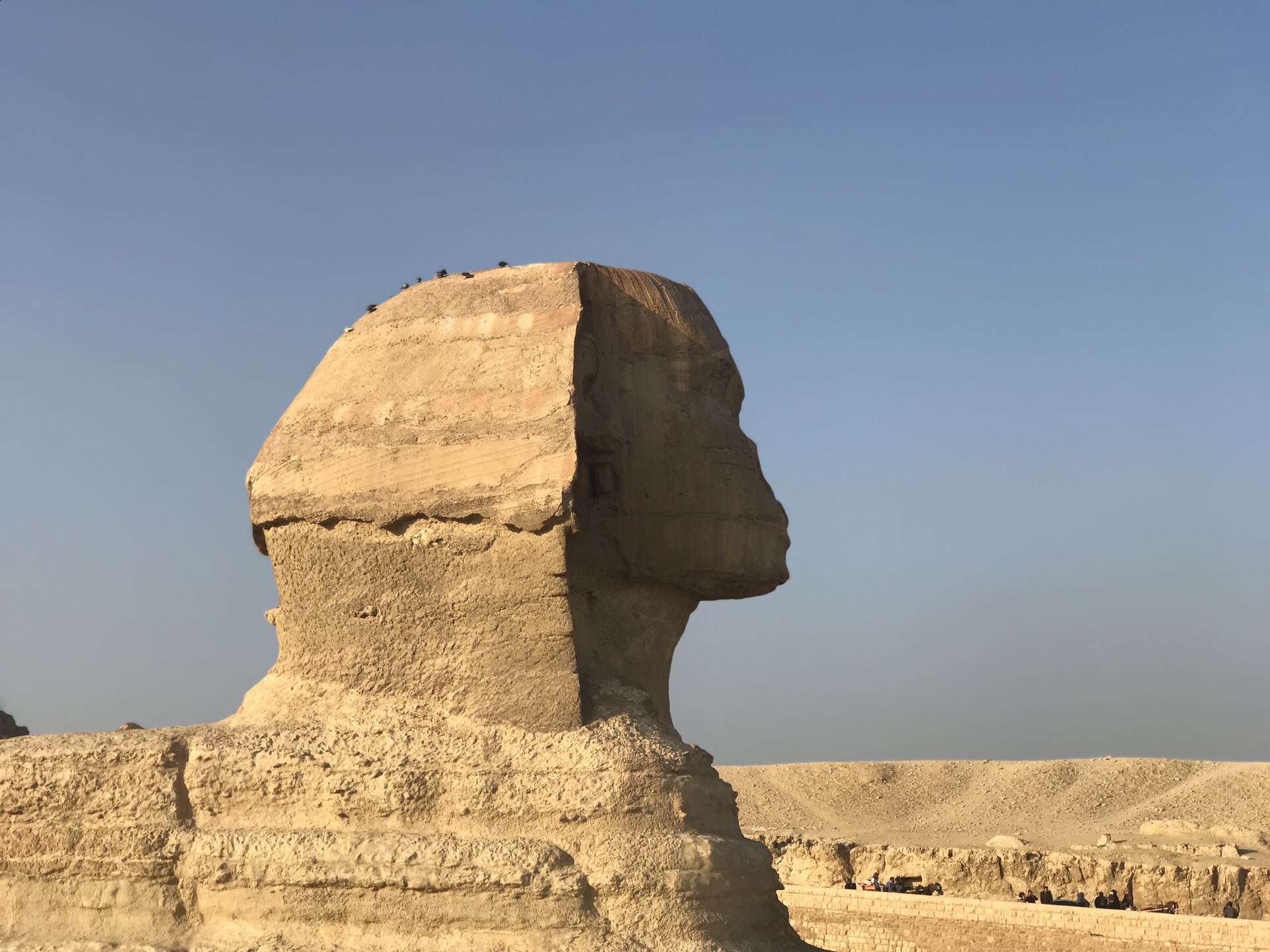 2019胡夫金字塔-旅游攻略-门票-地址-问答-游记点评,开罗旅游旅游景点