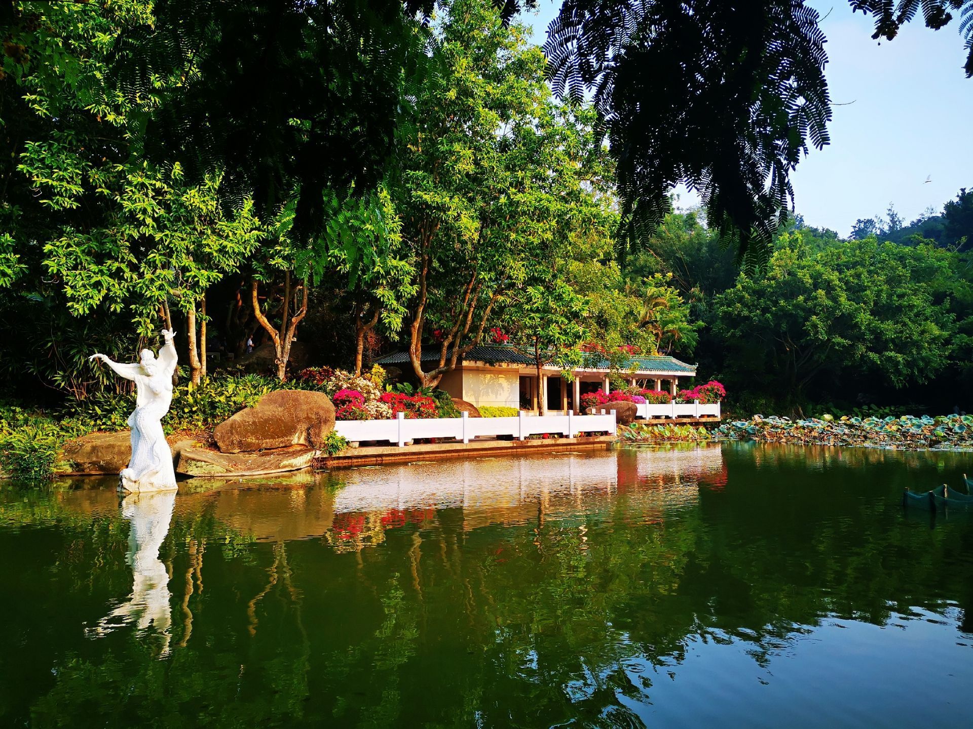 廈門園林植物園景點,植物園算是我經常去的景點國慶節再一次去萬石