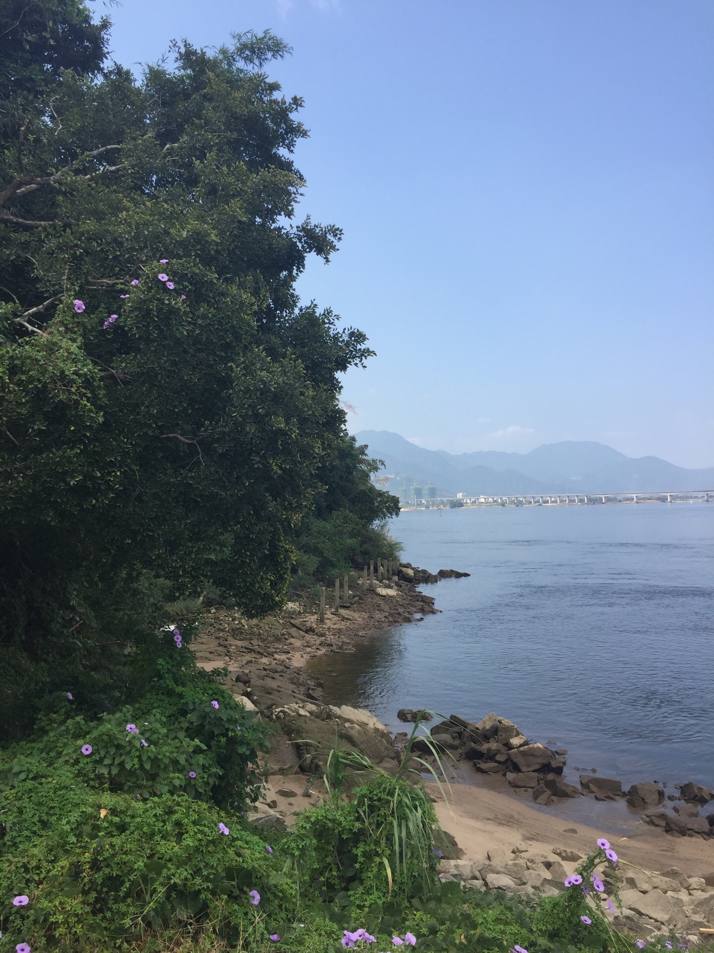 南江滨堤外公园