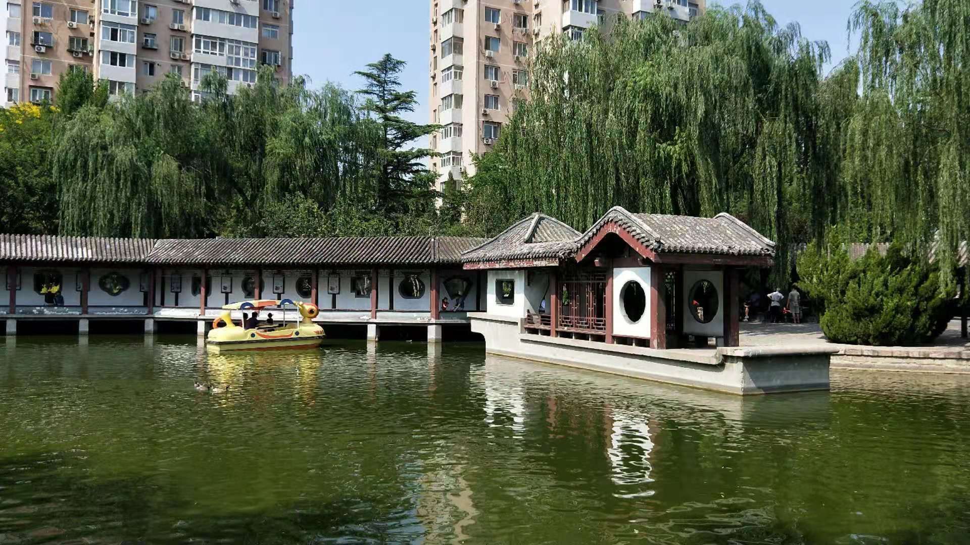 2019团结湖公园-旅游攻略-门票-地址-问答-游记点评，北京旅游旅游景点推荐-去哪儿攻略