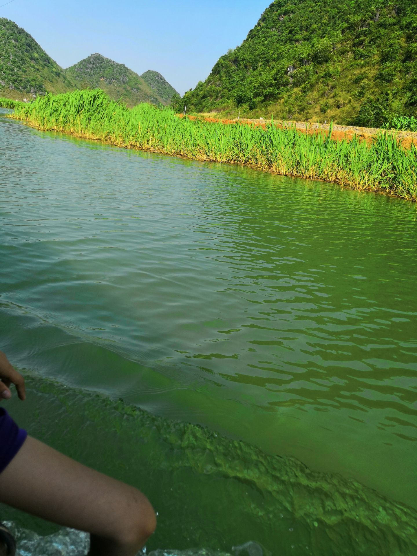 2022河野风景名胜区-旅游攻略-门票-地址-问答-游记