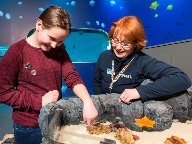sealifetimmendorferstrand