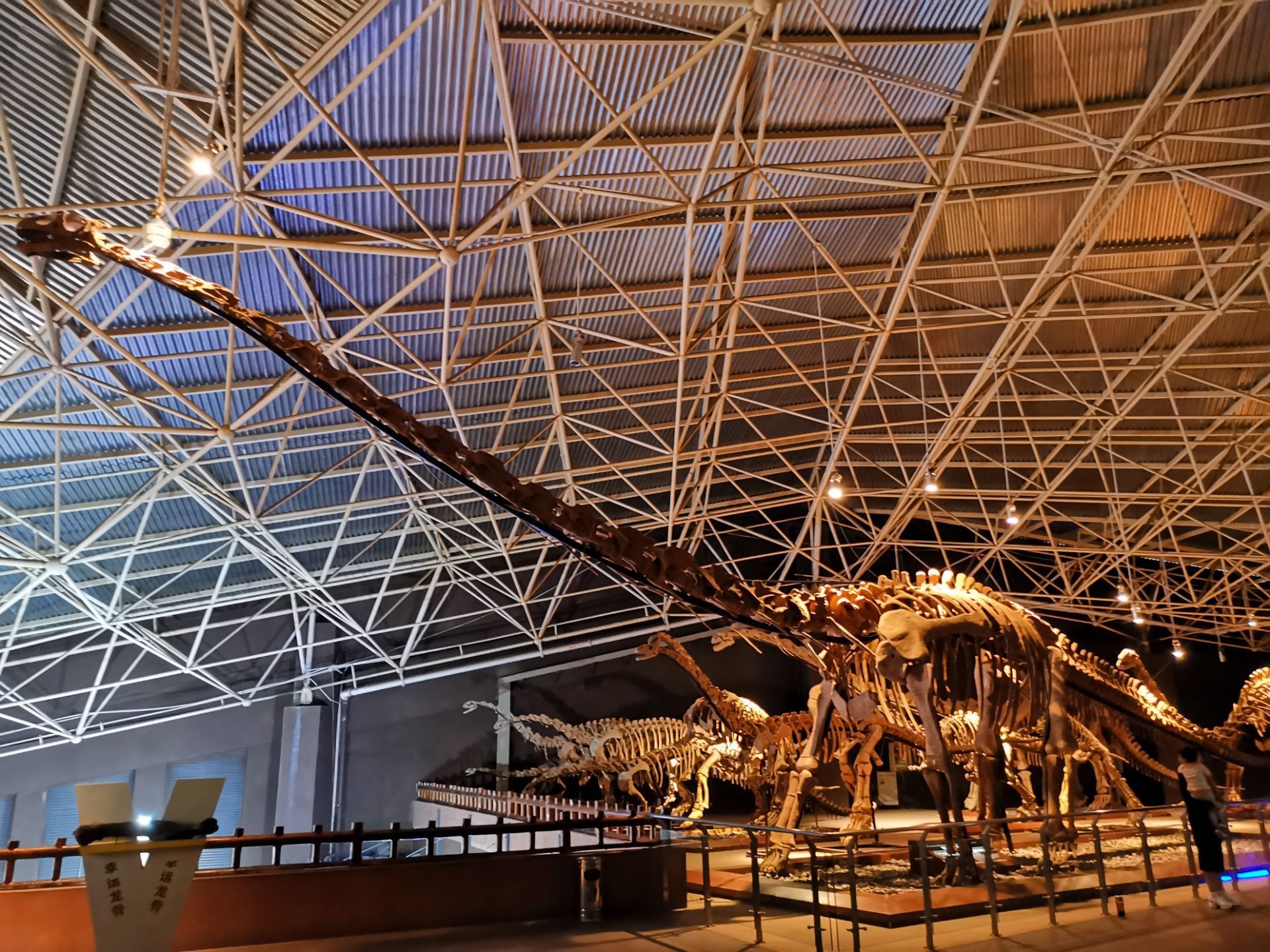 世界恐龙谷恐龙遗址公园