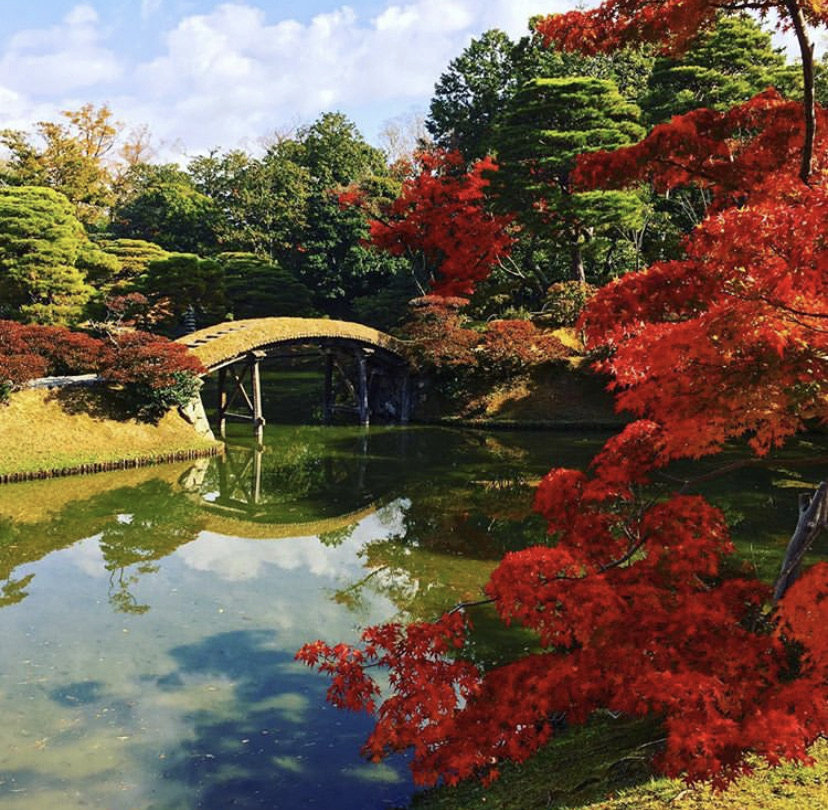 桂离宫有网上预约成功的吗 我前后预约了3次都被拒了 正常现象 京都旅游问答 携程攻略