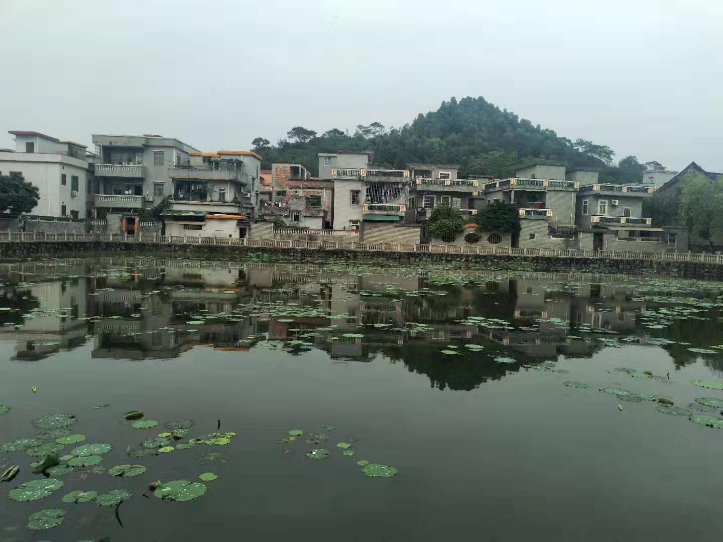 有着世界长寿之乡的湖北钟祥市有一个湖北民俗第一村/莫愁村村子里
