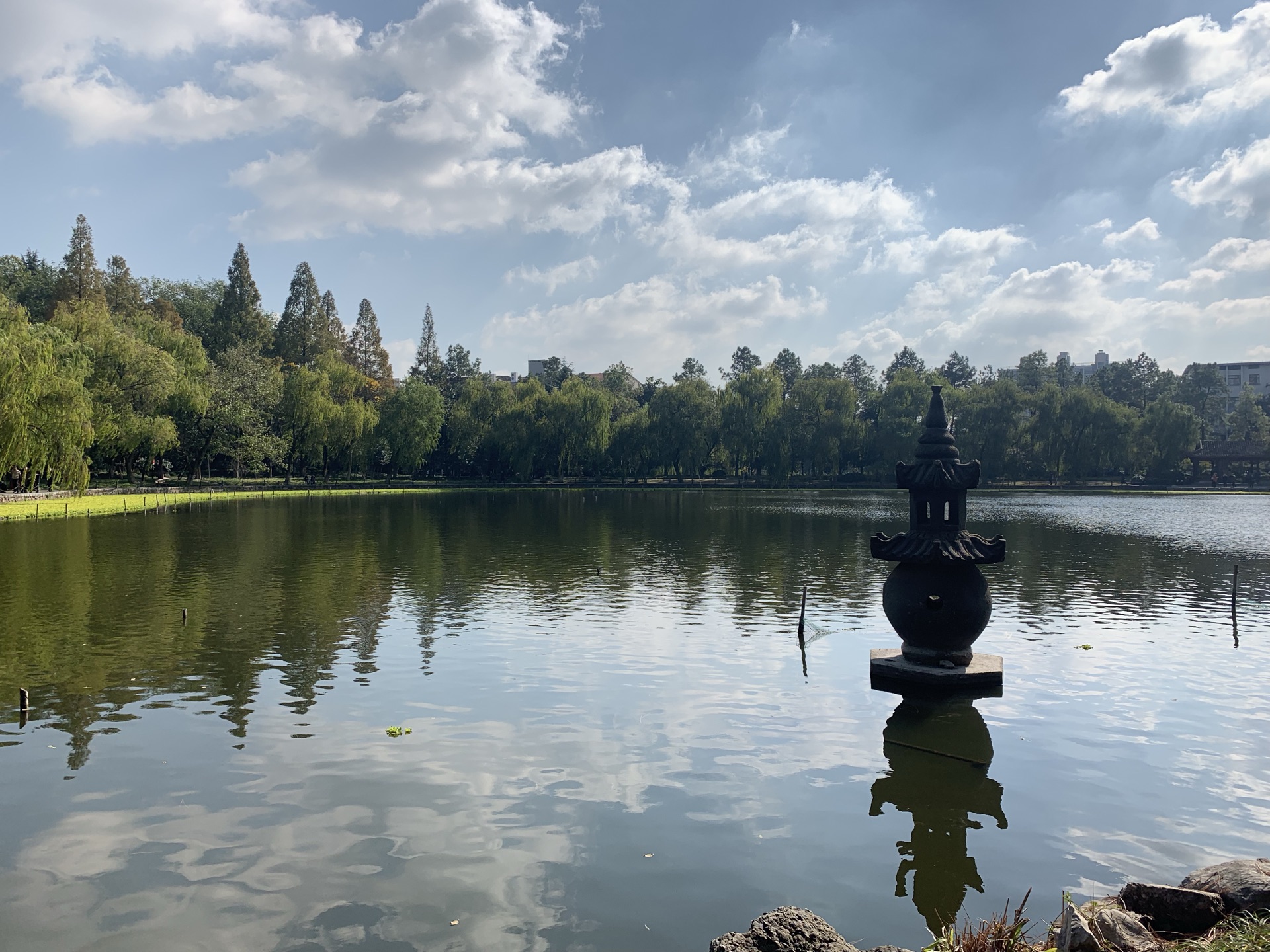 浙江大学(华家池校区)-植物园