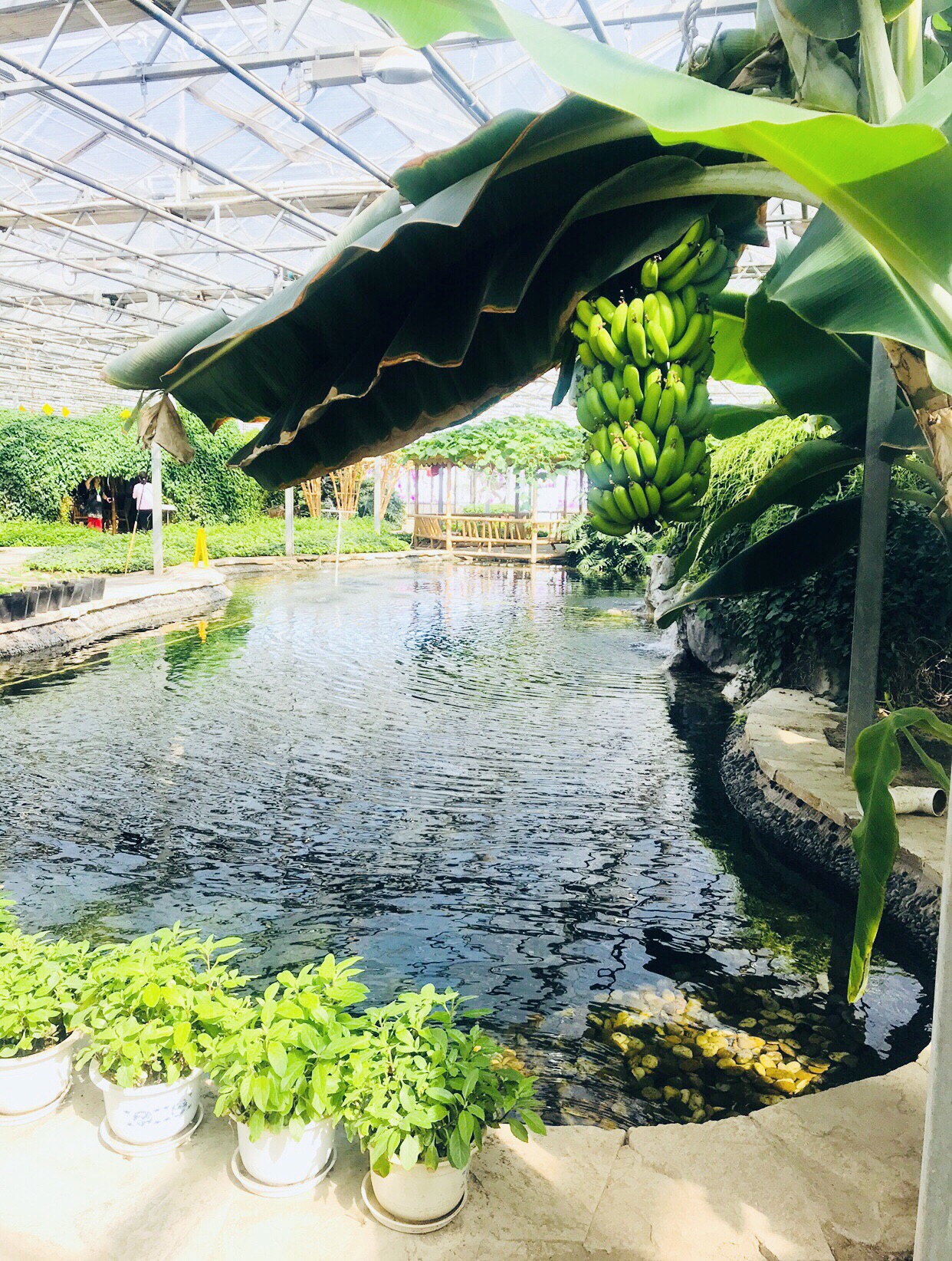 晶宝温泉农庄 【推荐理由】 上榜天津萌控必去景点人气榜 第15名 网红