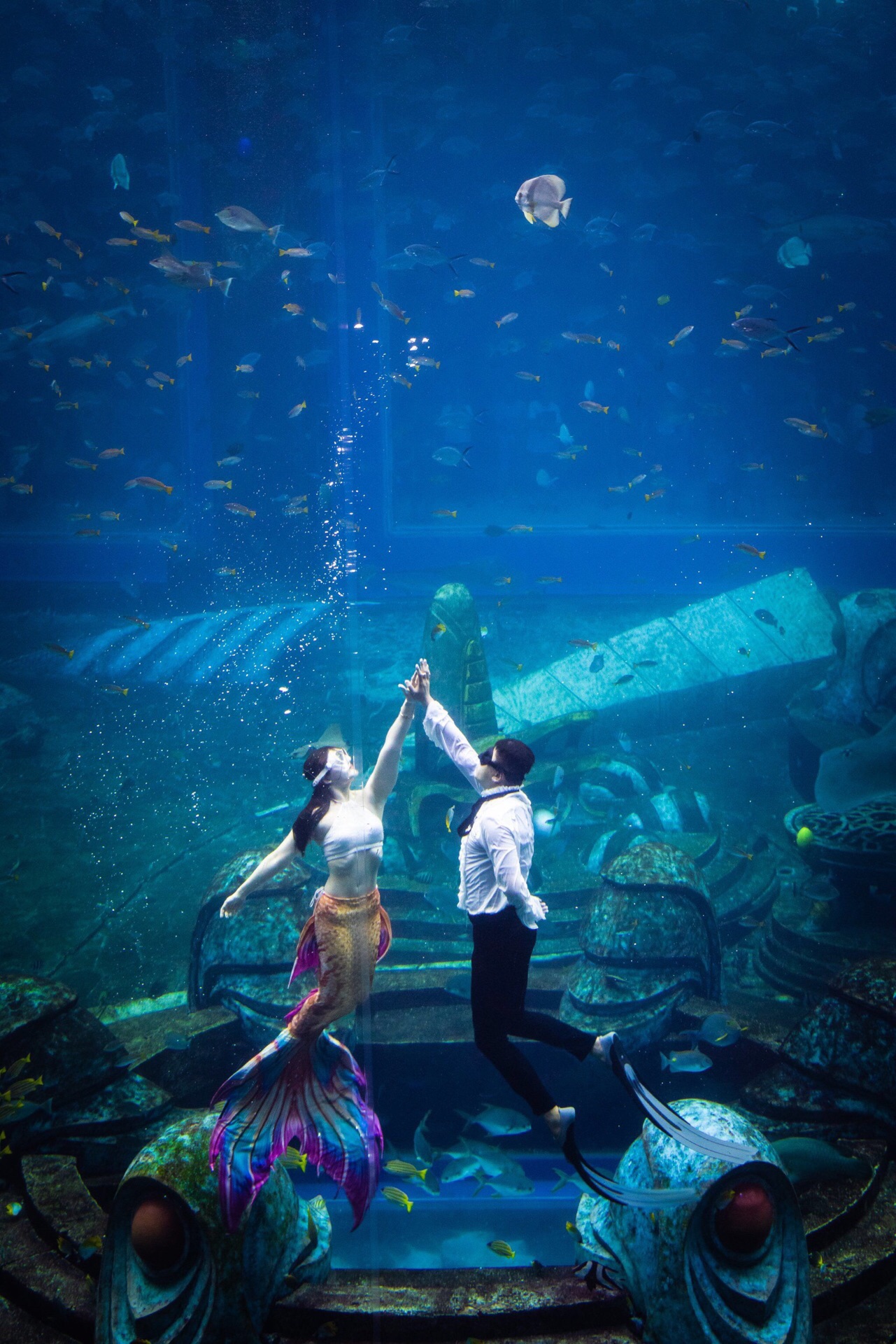 2023三亚亚特兰蒂斯失落的空间水族馆游玩攻略,非常壮观78 我们一群