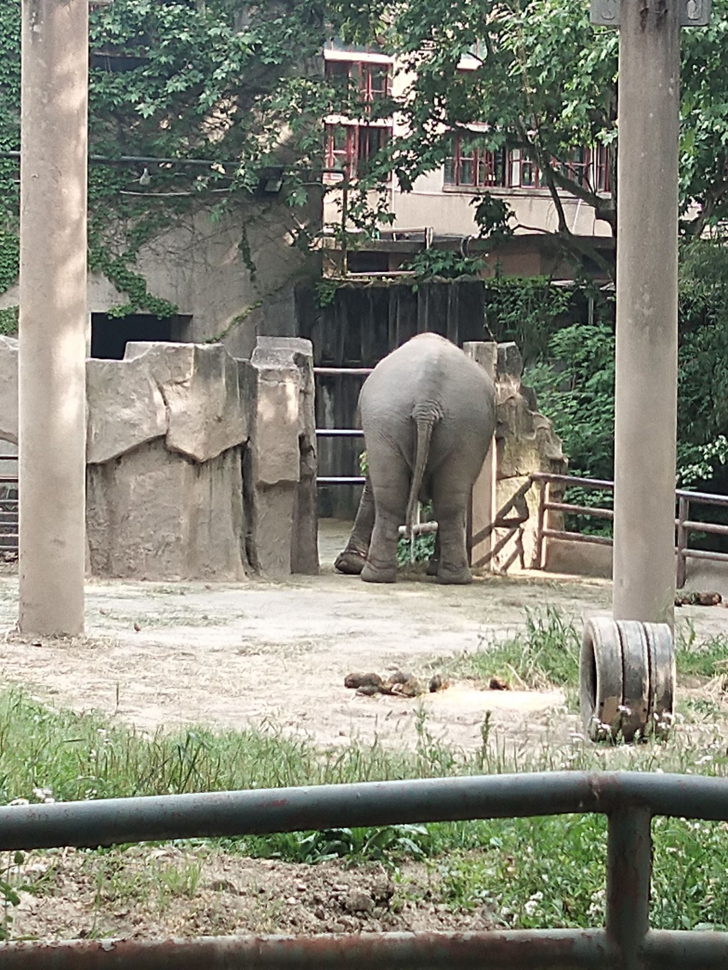 寻找与发现之旅@上海野生动物园 - 上海游记攻略【携程攻略】