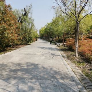 慈溪市森林公园 分 2条点评 公园乐园 城市公园 距玩乐1.9km