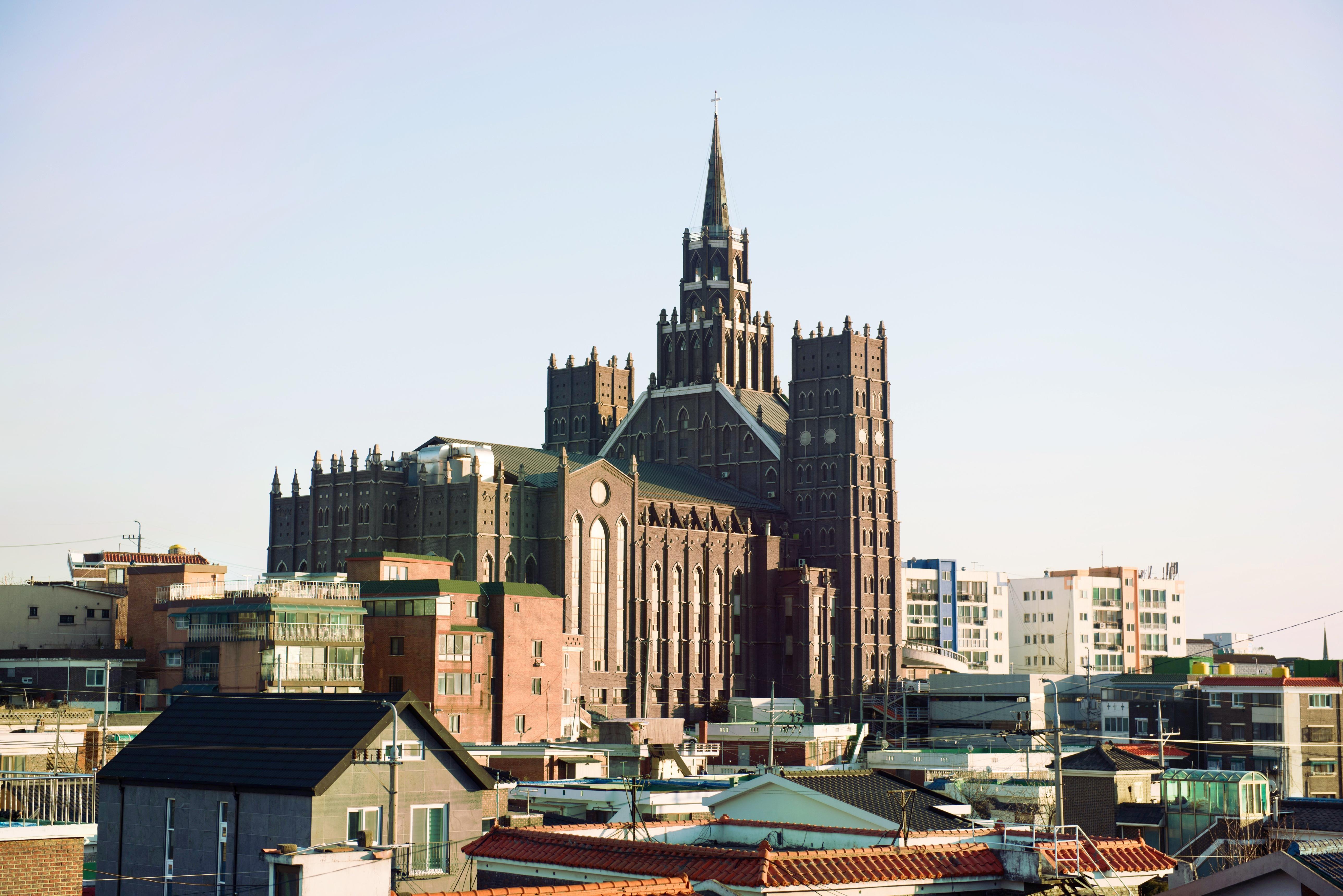 京畿道厅 樱花浪漫散步路