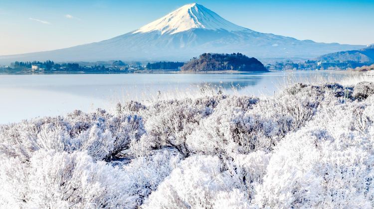 富士山富士山攻略 富士山门票价格多少钱 团购票价预定优惠 景点地址图片 携程攻略