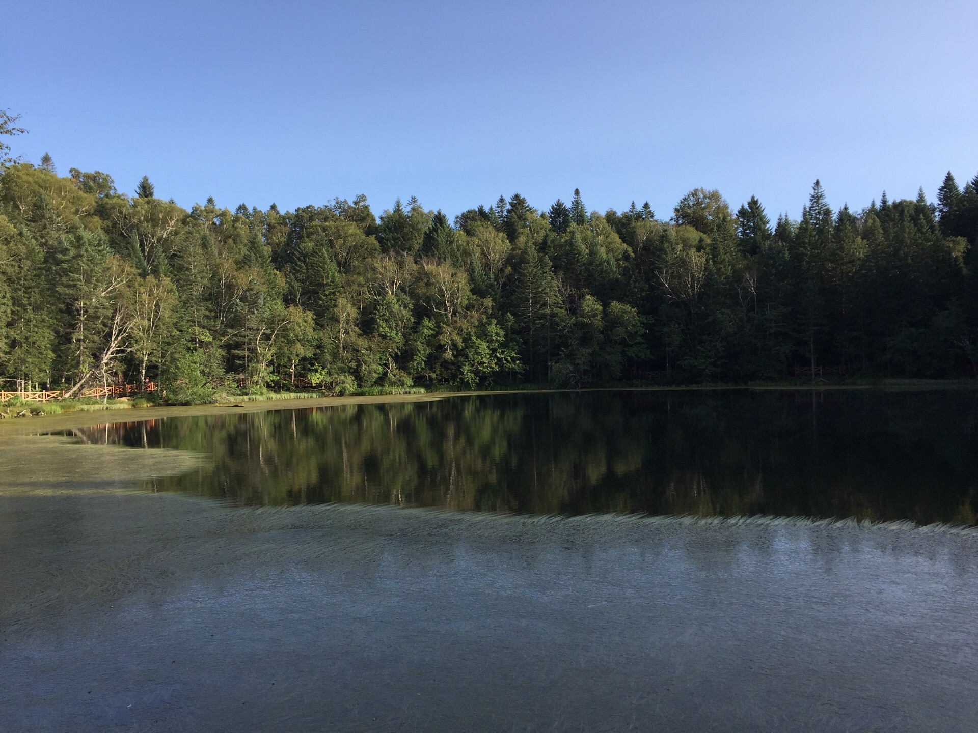 【携程攻略】长白山西坡王池景点,西坡长白山的一处风景点,主要是以