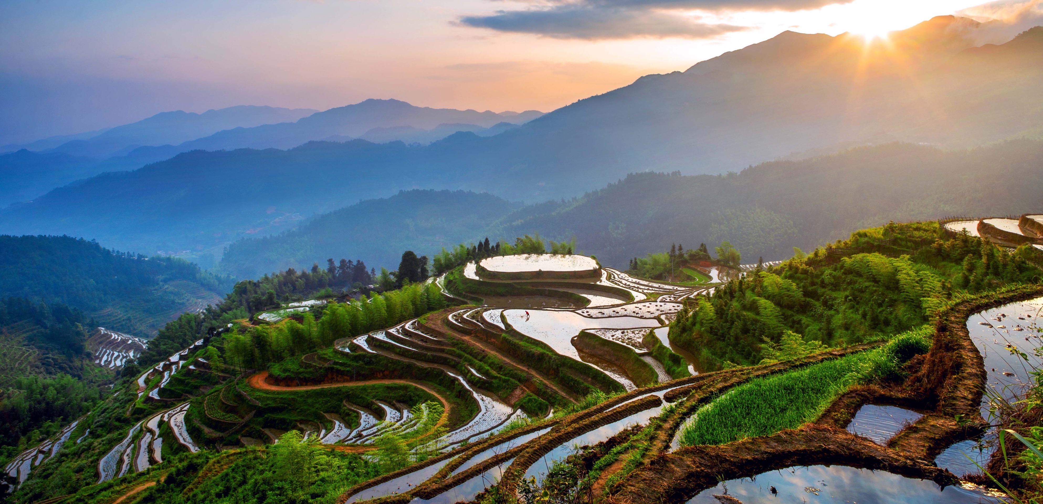 大井红军烈士墓