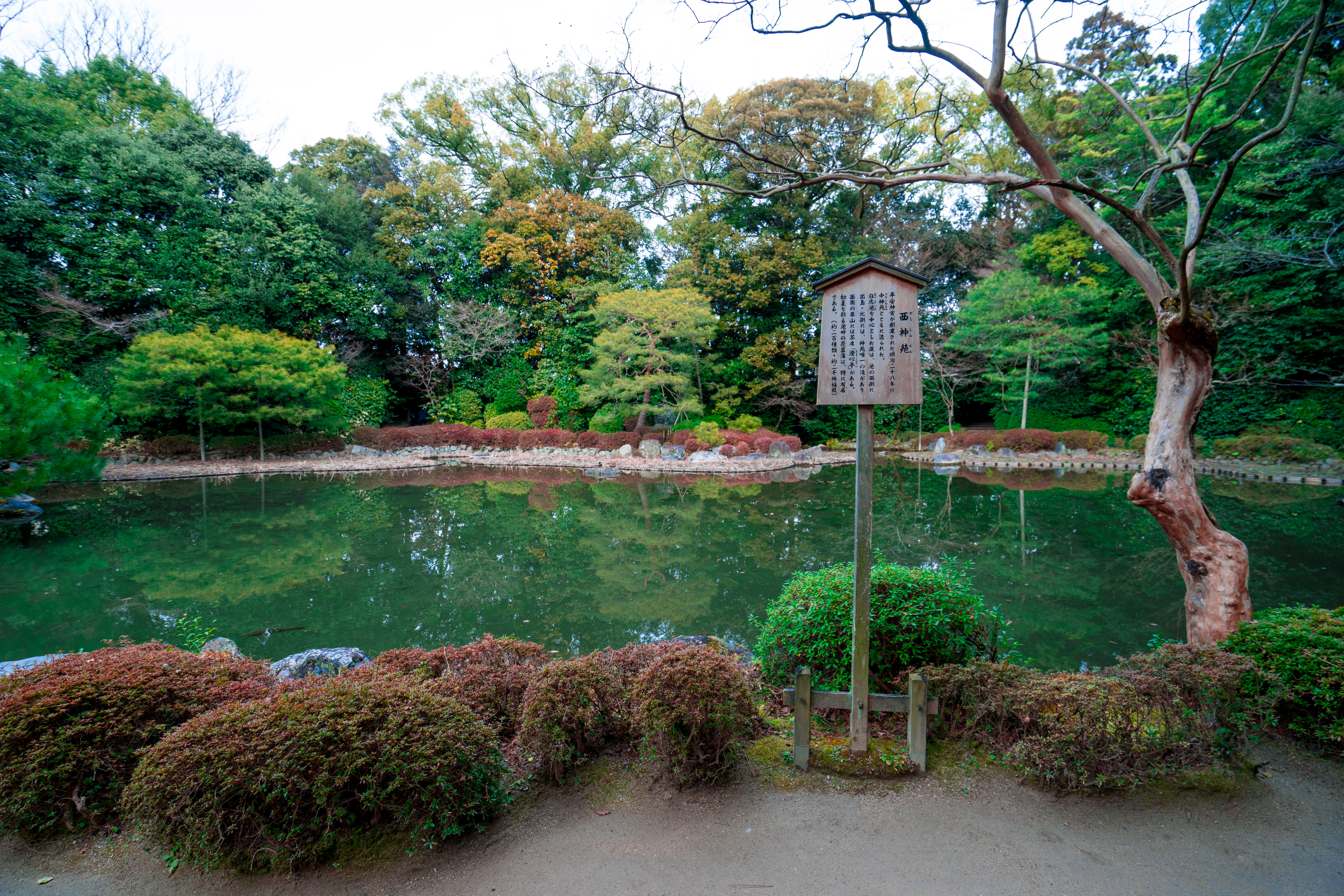 Heian Shrine Travel Guidebook Must Visit Attractions In Heian Shrine Nearby Recommendation Trip Com