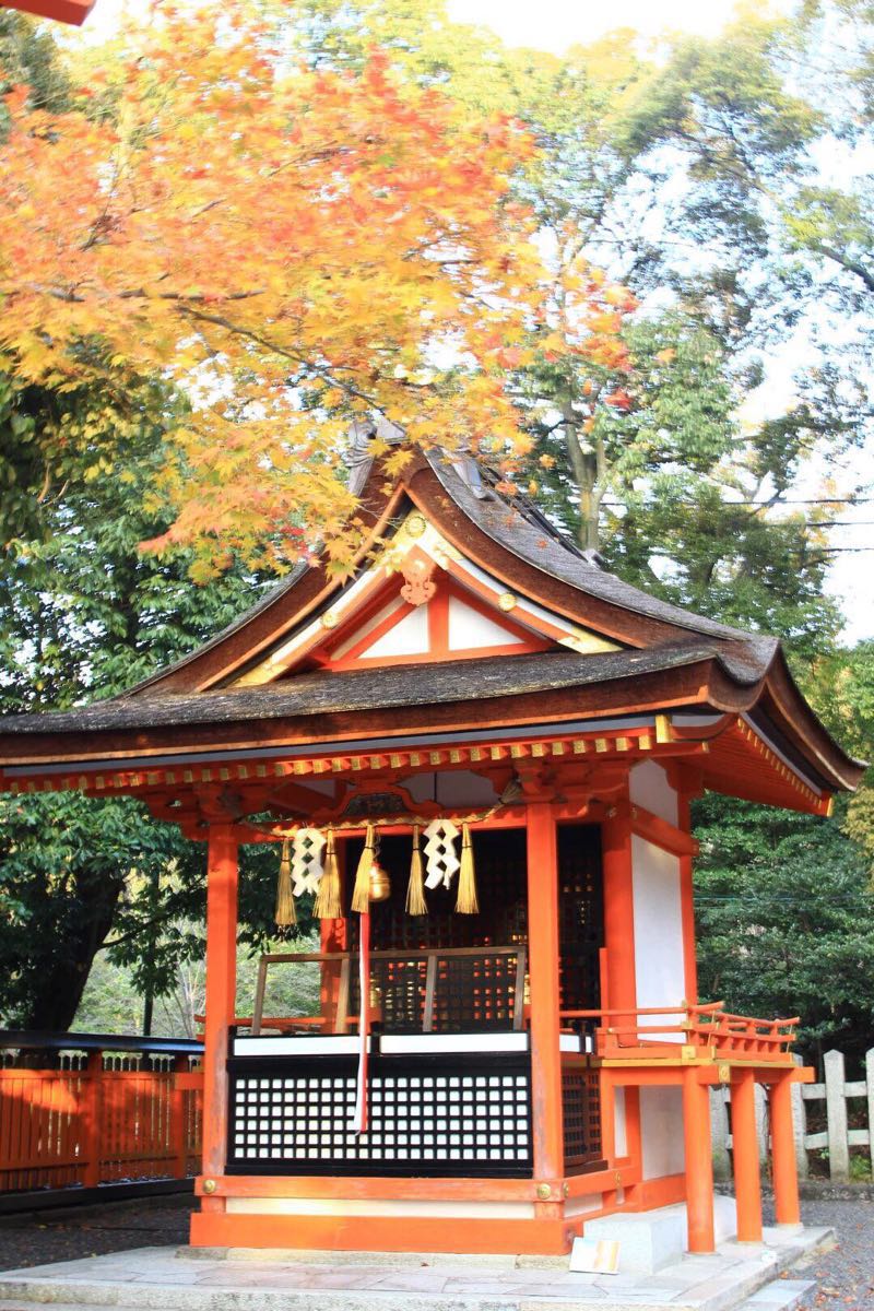 京都伏见稻荷大社好玩吗,京都伏见稻荷大社景点怎么样_点评_评价