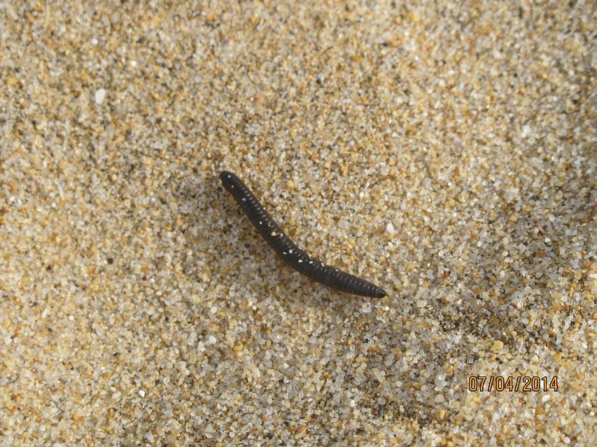 在秋天遇见(亲子游澳洲房车自驾26天:大洋路,袋鼠岛,乌鲁鲁)之大洋路